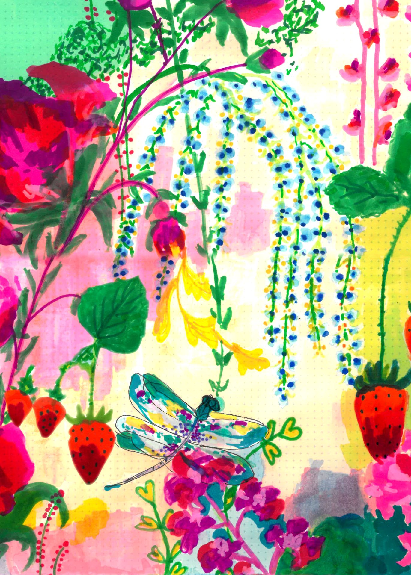 פרינט - שפירית