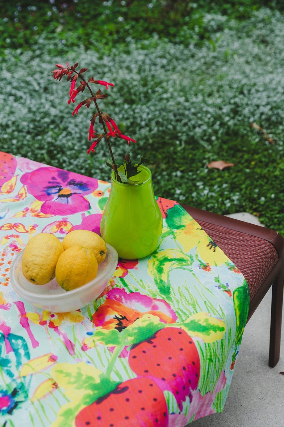 ⁦Beautiful tablecloth⁩ – תמונה ⁦4⁩